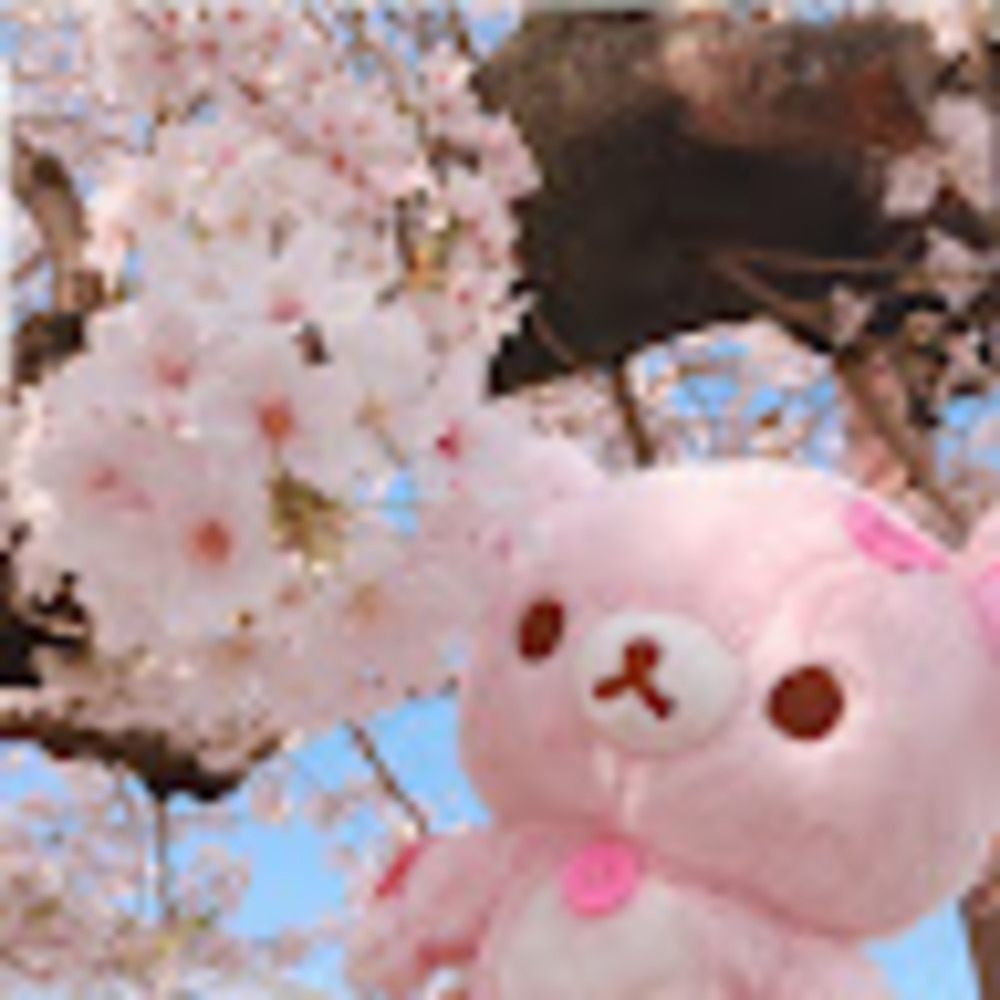 Meet your Posher, Joel